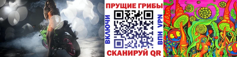 Галлюциногенные грибы Psilocybine cubensis Лесозаводск