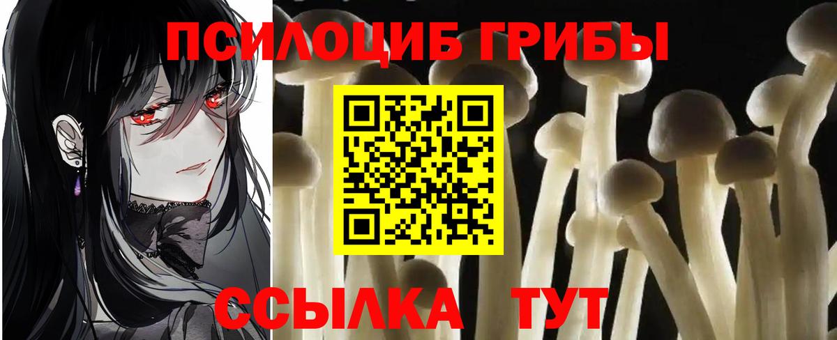 Псилоцибиновые грибы MAGIC MUSHROOMS  Вход с VPN  Лесозаводск  Галлюциногенные грибы мицелий 